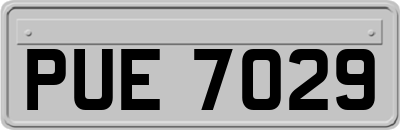 PUE7029