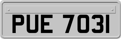 PUE7031