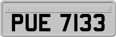 PUE7133