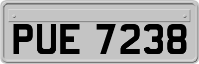 PUE7238