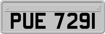 PUE7291