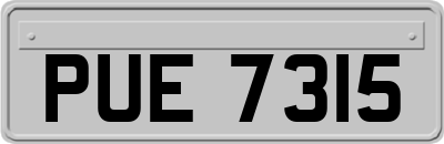 PUE7315
