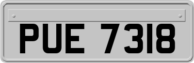 PUE7318