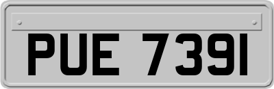 PUE7391