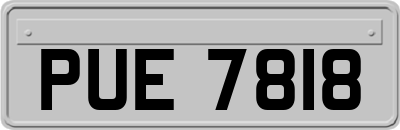 PUE7818