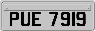 PUE7919