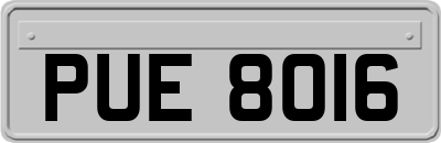 PUE8016