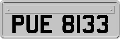 PUE8133