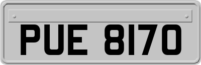 PUE8170