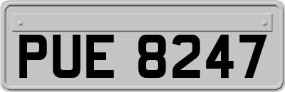 PUE8247