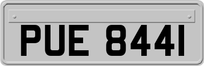 PUE8441