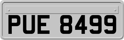 PUE8499
