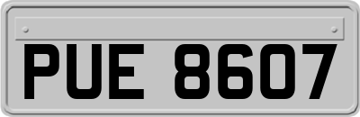 PUE8607