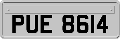 PUE8614