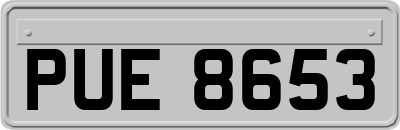 PUE8653
