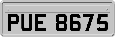 PUE8675