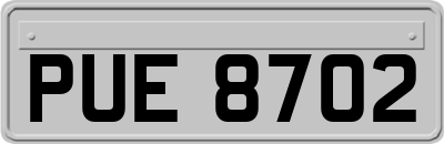 PUE8702