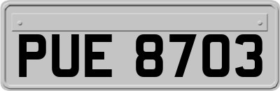 PUE8703