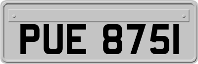 PUE8751