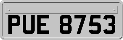 PUE8753