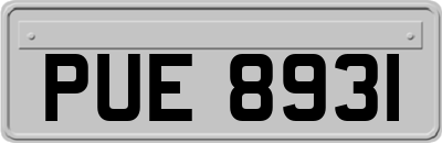 PUE8931