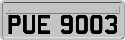 PUE9003