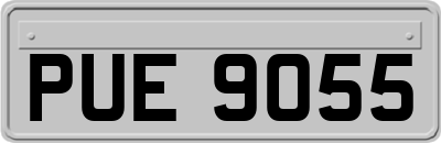 PUE9055