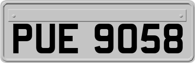 PUE9058