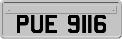 PUE9116