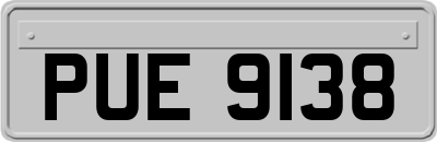 PUE9138