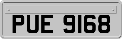 PUE9168