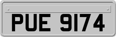 PUE9174