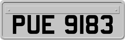 PUE9183