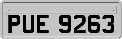 PUE9263
