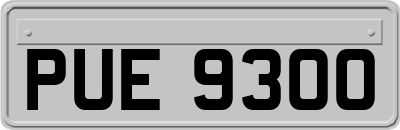 PUE9300