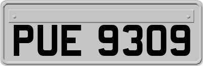 PUE9309
