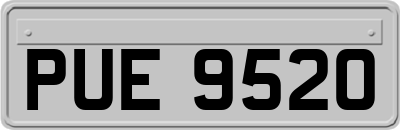 PUE9520