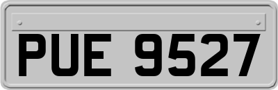 PUE9527