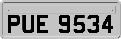 PUE9534