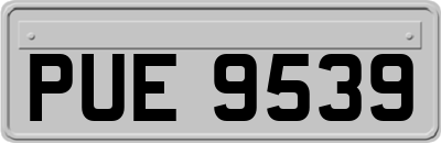 PUE9539