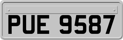 PUE9587