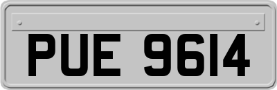 PUE9614
