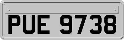 PUE9738