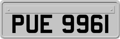 PUE9961