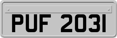 PUF2031