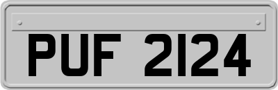 PUF2124