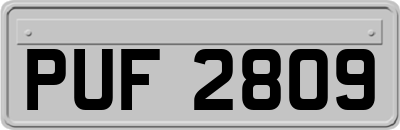 PUF2809