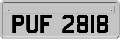 PUF2818