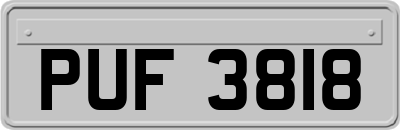 PUF3818