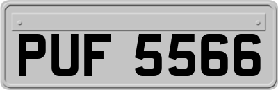 PUF5566